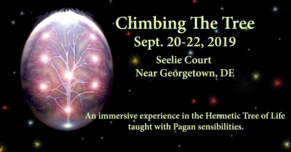 ClimbingTreeSept2019